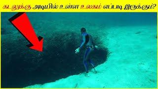 மனித இனத்தை மிரள வைக்கும் ஆழ்கடலின் வினோதமான விஷயங்கள் │How Would Deep Sea World Look Like? Ocean