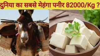 दुनिया का सबसे महंगा पनीर ? Most Expensive Cheese | Shorts | Sohel Motivation