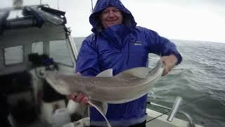 Scottyano Fishing Wales