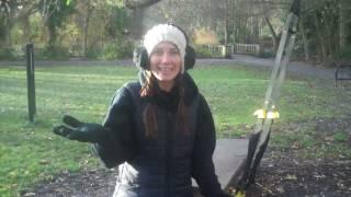 jackiediss.co.uk Top 4 Beginner TRX Moves