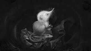 Little Shrew (Snowflake)