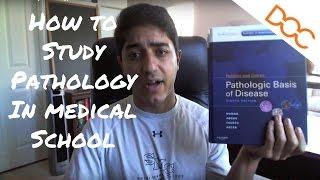 How to Study Pathology in Medical School