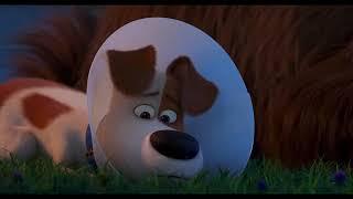 The Secret Life of Pets 2 | "Rooster Attacks the Fox" Clip | Illumination