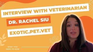 Interview with Veterinarian Dr. Rachel Siu, Creator of @Exotic.Pet.Vet Social Media