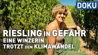 Riesling in Gefahr - Eine Winzerin trotzt dem Klimawandel | erlebnis hessen | Doku