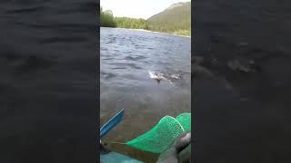 Рыбалка в Бурятии 2  #друзья #fishing #шорст #отдых