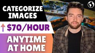 Can You Make Good Money at Home Categorizing Images Online?