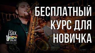 БЕСПЛАТНЫЙ ВИДЕО-КУРС ДЛЯ НОВИЧКА!