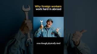 Why foreign workers work hard in abroad