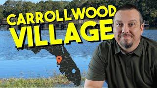 VLOG Tour of Carrollwood Village in Tampa FL