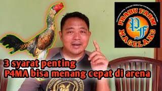 bawa P4MA atau M4NGON ke arena harus menang cepat...ini rahasianya