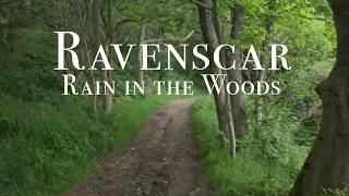 Raining in the Woods | Ravenscar