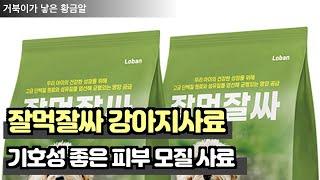 잘먹잘싸 강아지사료  아이가 코박고 먹는건 기본이고 장 활동,눈 건강,콜라겐, 피부모질사료 #강아지사료 #잘먹잘싸 #피부모질사료