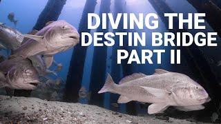 SCUBA DIVING THE DESTIN BRIDGE PART II - ShaneOgoeS deeper