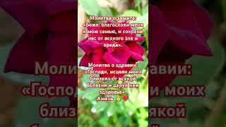 Молитва о защите:«Боже, благослови меня и мою семью #евангелиедня #милост #псалмы