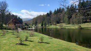 Walking with Tamson, episode 66. The Japanese Garden at Cowden Castle