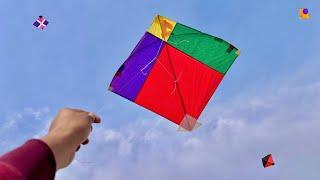 Kite Looting On Rooftop 🪁 | Kite Catching | Kite |