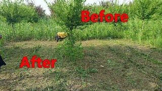 Crawler Remote Controlled Slope Lawn Mower Cheap But Durable Robot Grass Cutting Machine
