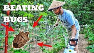 Organic Pest Control For Your Garden (Eco Friendly Organic Pesticides, Fungicides, & Fertilizers)