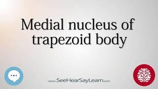 Medial nucleus of trapezoid body   Anatomy of the Brain   SeeHearSayLearn 