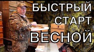 ВЕСЕННЕЕ РАЗВИТИЕ ПЧЕЛИНЫХ СЕМЕЙ