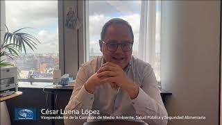 Saludo del europarlamentario César Luena a Alianza por la Solidaridad-ActionAid