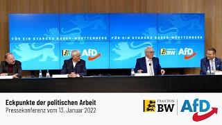 Pressekonferenz zu den Eckpunkten der politischen Arbeit der AfD-Fraktion-BW