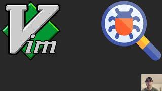 Troubleshooting Steps for When a Vim Plugin Is Not Working