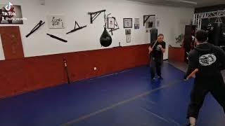 Sifu Vassilis Wing Tsun Escrima MMA self Defense Street Fight WTES.org