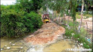 Perfectly Strong KOMATSU Dozer D31P Open Forest Cutting & Pushing Soil Making Village New Road