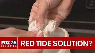 Could fighting red tide be this simple?