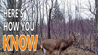 Did You Hunt the Right Spots This Fall? [Here's How You Know]