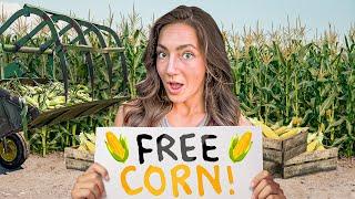 I Gave Away All My Corn For Free