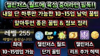 [메이플스토리 맑음] (조기 종료 / 고정 댓글 확인) 챌린저스 월드 육성 중이라면 필독!! 내일 단 하루만 가능한 10~15레벨업 날먹 꿀팁 / 알아두면 좋은 꿀팁 & 정보 정리