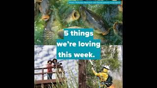 Five things we're loving this week #SouthAustralia