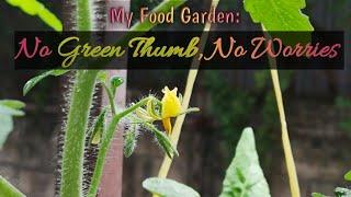 Terrace Food Garden: From Garden To Table | Organic | Green Thumb Myth | The #UlyssesPH Aftrrmath