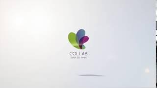 Clean & Professional Logo Animation 04