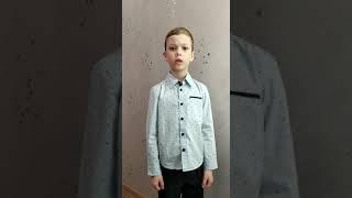 Стихотворение " Что мы Родиной зовем". Автор Владимир Степанов