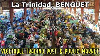 LA TRINIDAD BENGUET - PALENGKE TOUR | Morning Visit to the BIGGEST Vegetable Market + Public Market