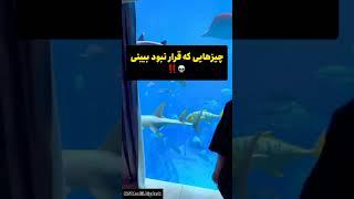 چیزهایی که هیچوقت قرار نبود ببینی‼️