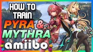 How to Train the Pyra and Mythra amiibo