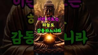 #부처님말씀 #자기수행#부처님가르침 #기도의공덕 #인생조언 #불교오디오북 #불교말씀 #불교지혜