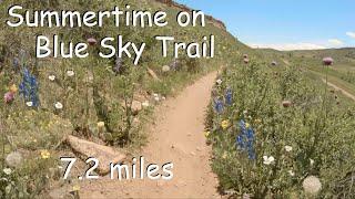 Virtual Treadmill Run | Summertime on Blue Sky Trail | Fort Collins, Colorado