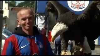 2012–13 Championship  (Matchday 7)  Crystal Palace v Cardiff City  (22 September 2012)