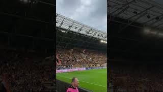 Dynamo Dresden | Stimmung KBlock hüpft im Wechsel und dann geschlossen #dynamodresden #dynamo