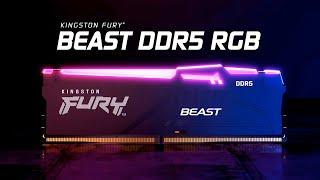 DDR5 RGB-Speicher mit Geschwindigkeiten von bis zu 6000MT/s – Kingston FURY Beast DDR5 RGB