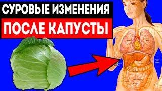 Что будет, если есть КАПУСТУ КАЖДЫЙ ДЕНЬ / Здоровье начнет изменятся в...