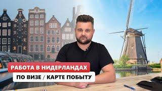 Трудоустройство в Нидерландах: можно ли работать по визе или карте побыту?