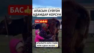АПАМ БЕЙИШИМ️ #тикток #моялошадь #дуэт #тиктокнутая #юмор #лошадки #прикол #rek #топ
