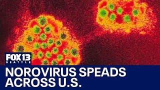 How to protect yourself from norovirus as it spreads across US | FOX 13 Seattle